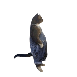 $DAFUQ Cat Logo